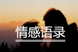 仁怀侦探取证：夫妻共有财产分割原则